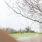Pepiite Perigord - Cosy Nature &