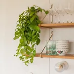 Pepiite Perigord - Cosy Nature &
